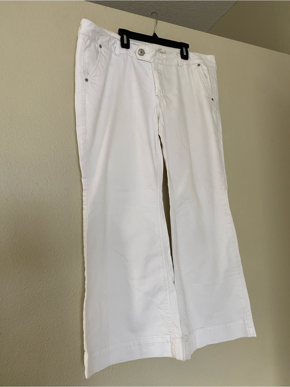 American Eagle Wide-Leg Trouser Jeans 18